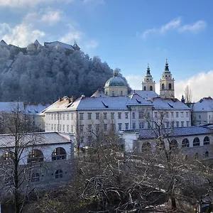 Rohrmann Laibach
